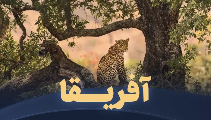 تور آفریقا تریپ
