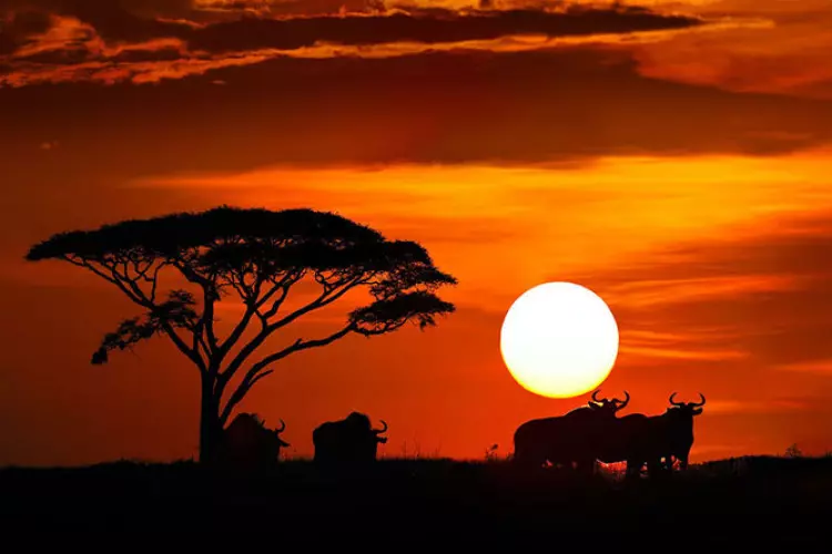 Africa-Trip