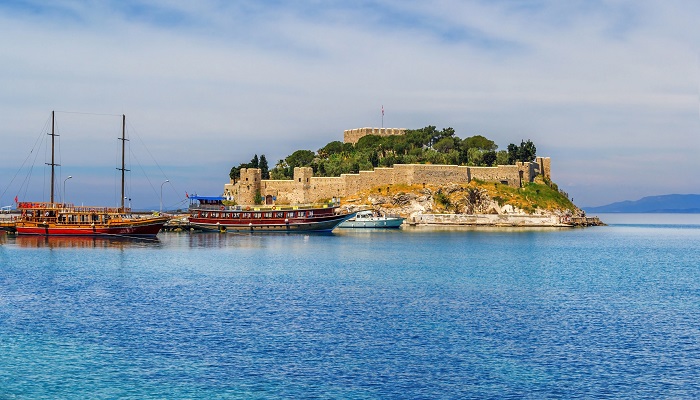 تور کوش آداسی زمستان 1404