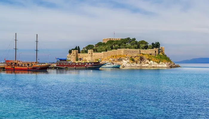 تور کوش آداسی زمستان 1404