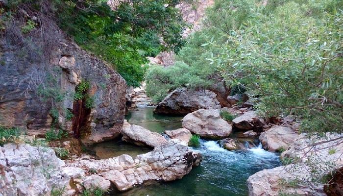 تنگ تیزاب شیراز