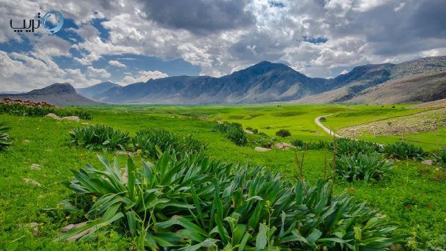 دشت سوسن بهشتی سرسبز در کنار رود کارون
