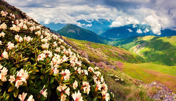 جاهای دیدنی گرجستان