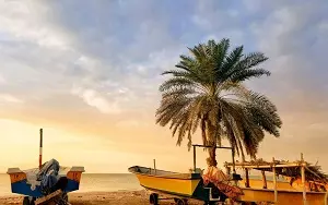 بلیط هواپیما جاسک