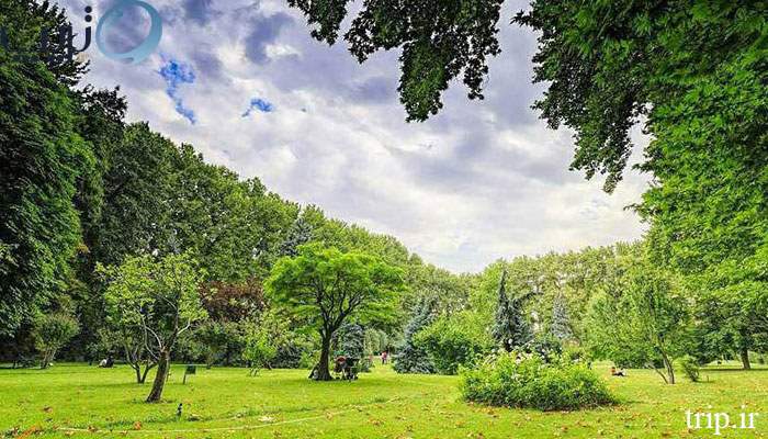 جنگل های اطراف تهران