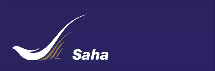 هواپیمایی ساها