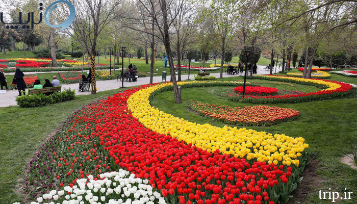 باغ-گیاه-شناسی-تهران-در-کرونا