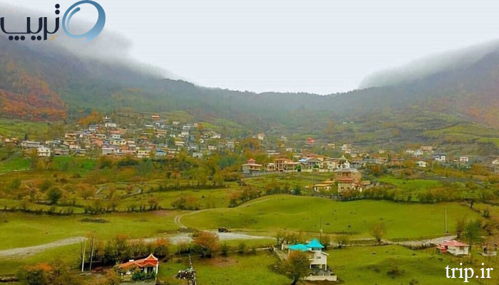 زمین-در-روستای-لاویج