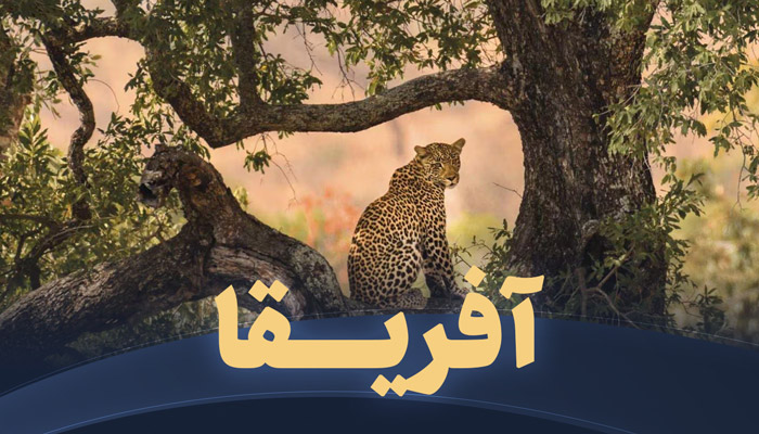 تور آفریقا