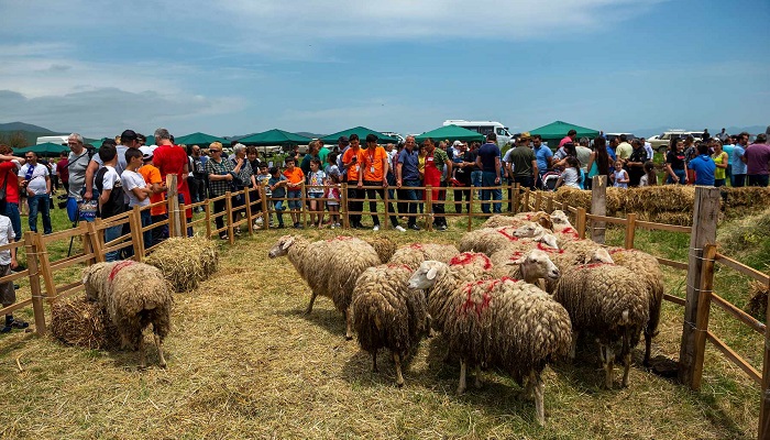 جشنواره های ارمنستان