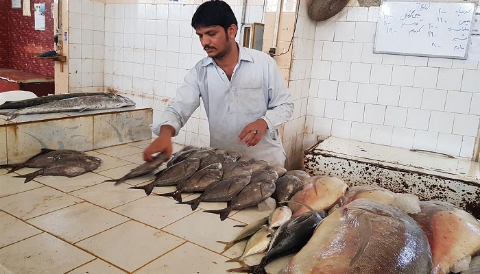بازار ماهی کنارک چابهار