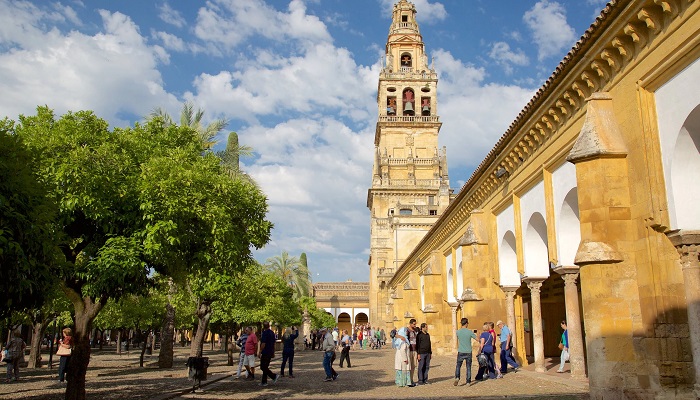 مسجد کلیسای جامع قرطبه اسپانیا