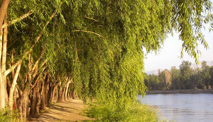 پارک ناژوان از جاهای دیدنی اصفهان در پاییز