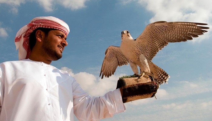 سافاری دبی