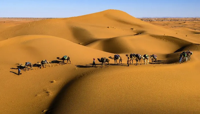 جاده ابریشم زمینی
