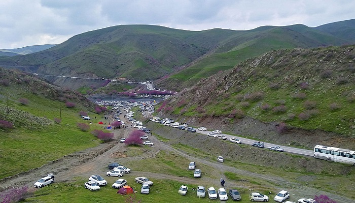 دشت ارغوان مشهد