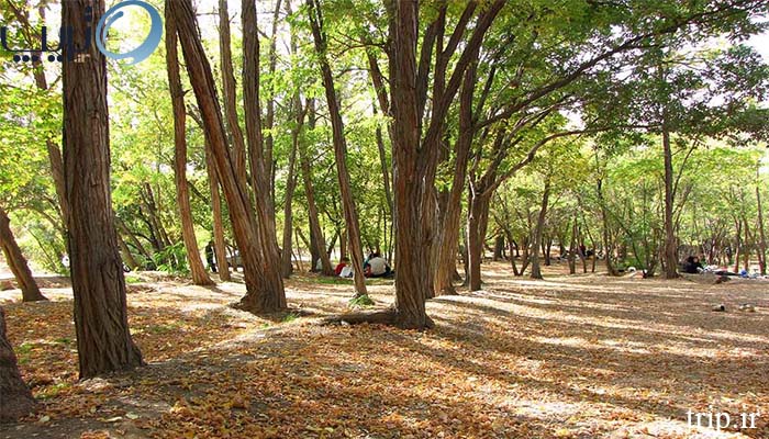 عکس پارک چیتگر تهران