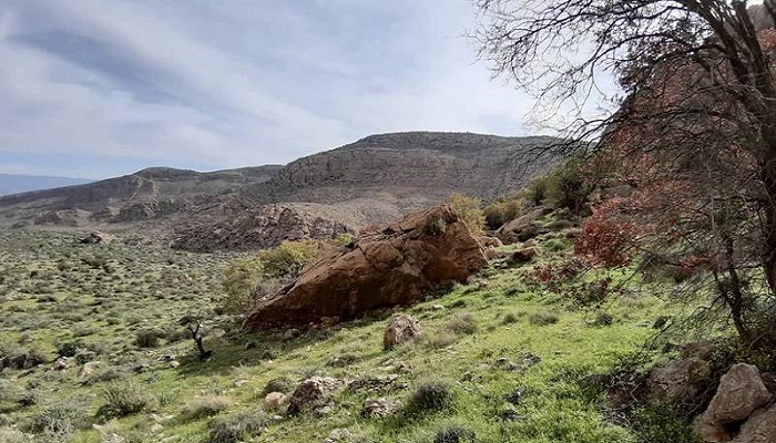 پارک ملی بختگان شیراز