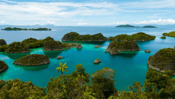 جزایر Raja Ampat
