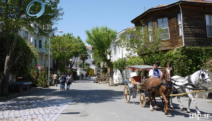 جزیره بیوک آدا استانبول در زمستان