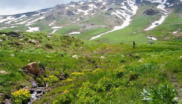روستای چهل چشمه شیراز
