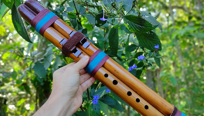 چیمنی از سازهای معروف ارمنی و از سوغات ارمنستان