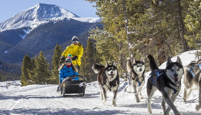 تفریحات گرینلند