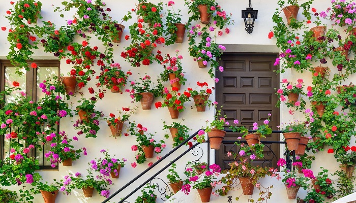 فستیوال لوس پاتیوس کوردوبا اسپانیا