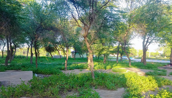 پارک جنگلی گمبوعه اهواز