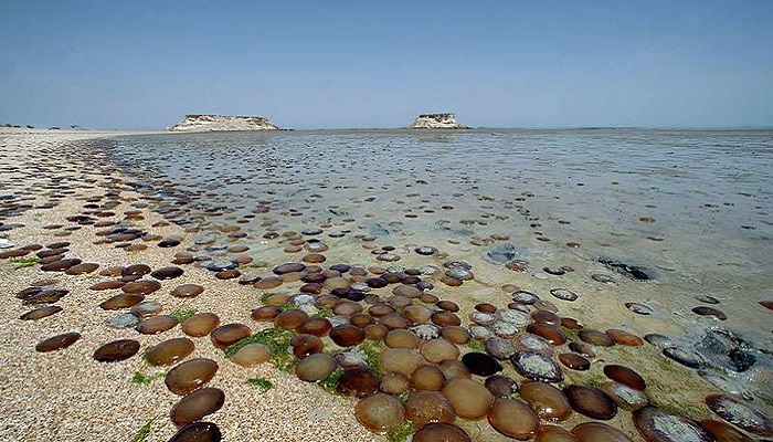 جزیره هنگام