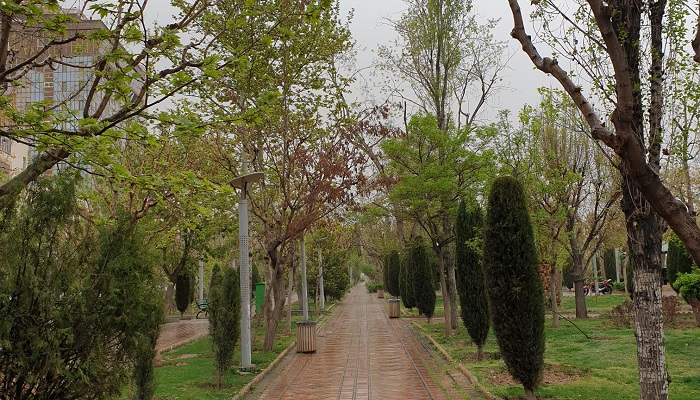 پارک هنرمندان از بهترین جاهای دیدنی شب های تهران