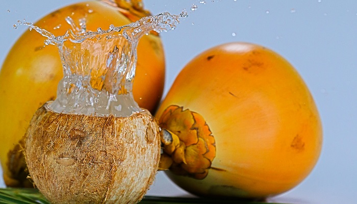 کینگ کوکونات سریلانکا