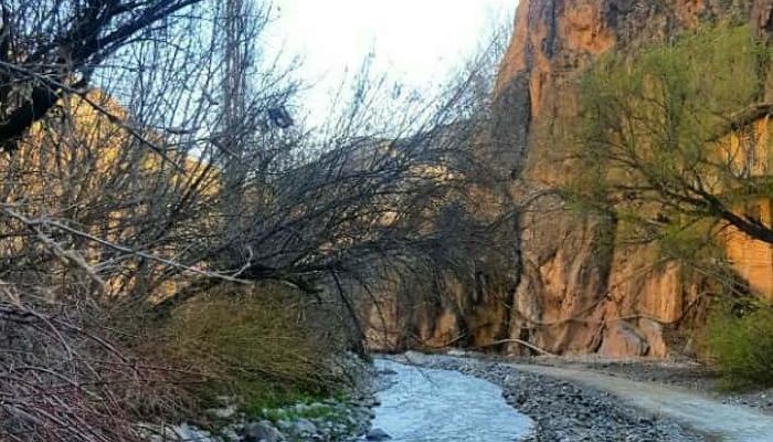 دره آل مشهد