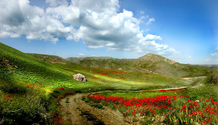 روستای نغندر مشهد