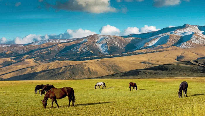 بازدید از جاده ابریشم