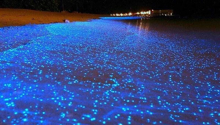 ساحل نقره ای از جاهای دیدنی هرمز در شب