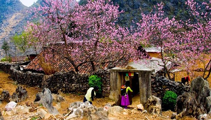 بهترین زمان برای سفر به ویتنام در بهار