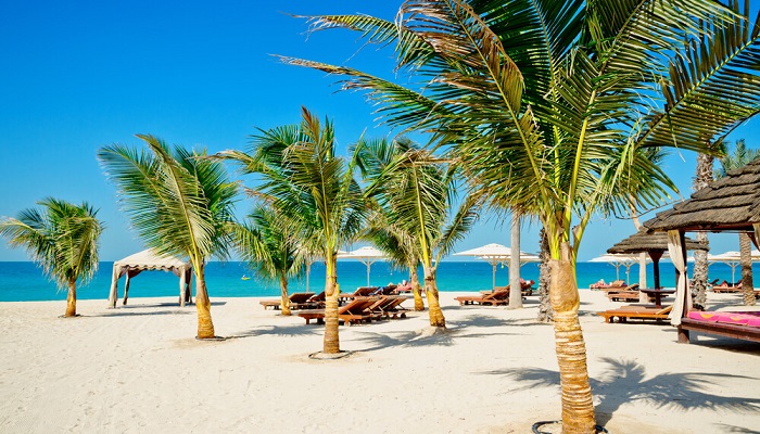 شنا در ساحل لامر دبی