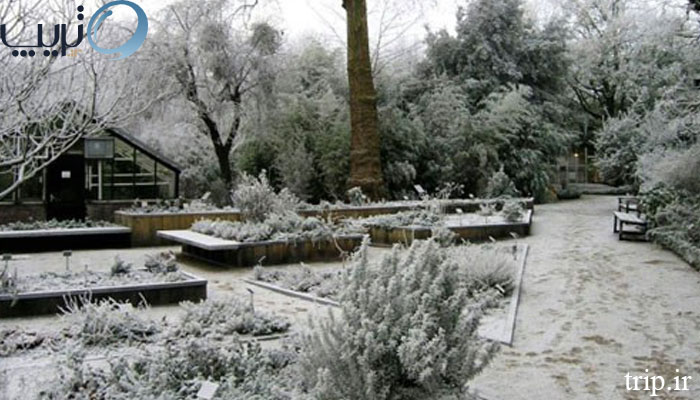 باغ-گیاه-شناسی-در-زمستان