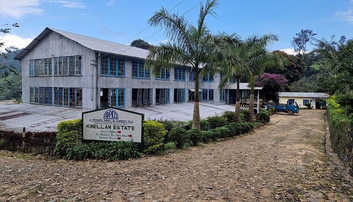 کارخانه چای کینلان از دیدنی های سریلانکا