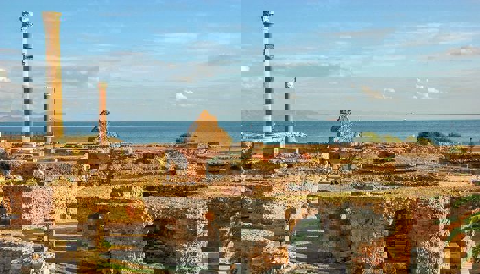 کارتاژ از شهرهای تونس