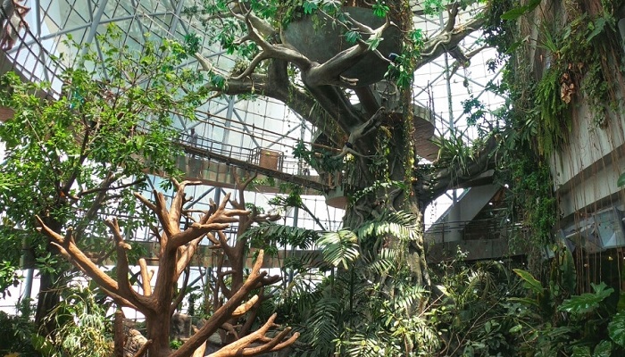 گرین پلنت دبی