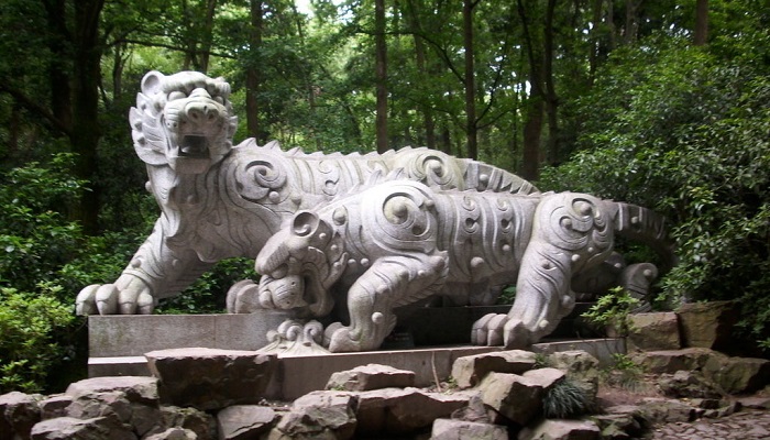 چشمه ببر دوان هانگژو چین