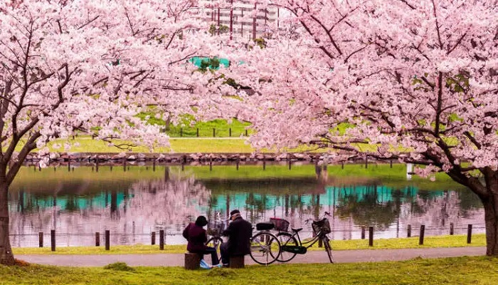 چین بهتر است یا ژاپن