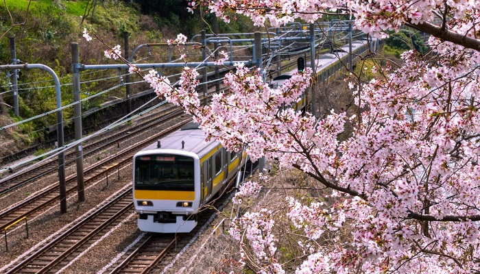 حمل و نقل در ژاپن