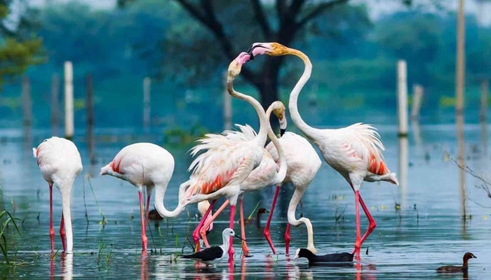 پارک ملی کلادو آگرا