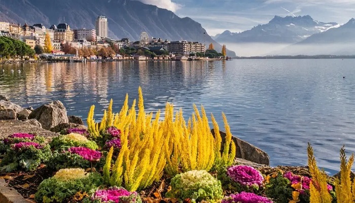 دریاچ ژنو سوئیس