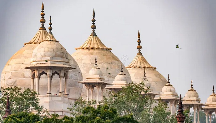 مسجد مروارید آگرا