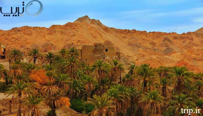 کویر زردگاه در ایران